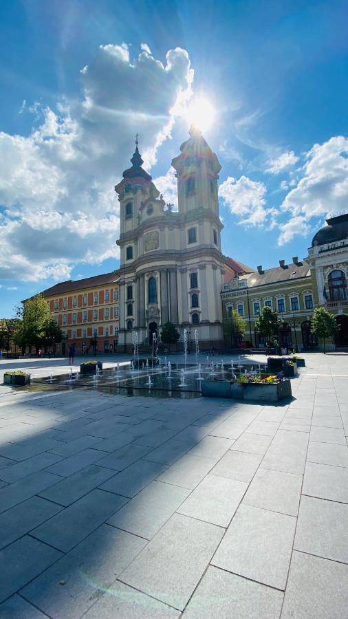 Central Home Apartment In The City Center Eger Esterno foto